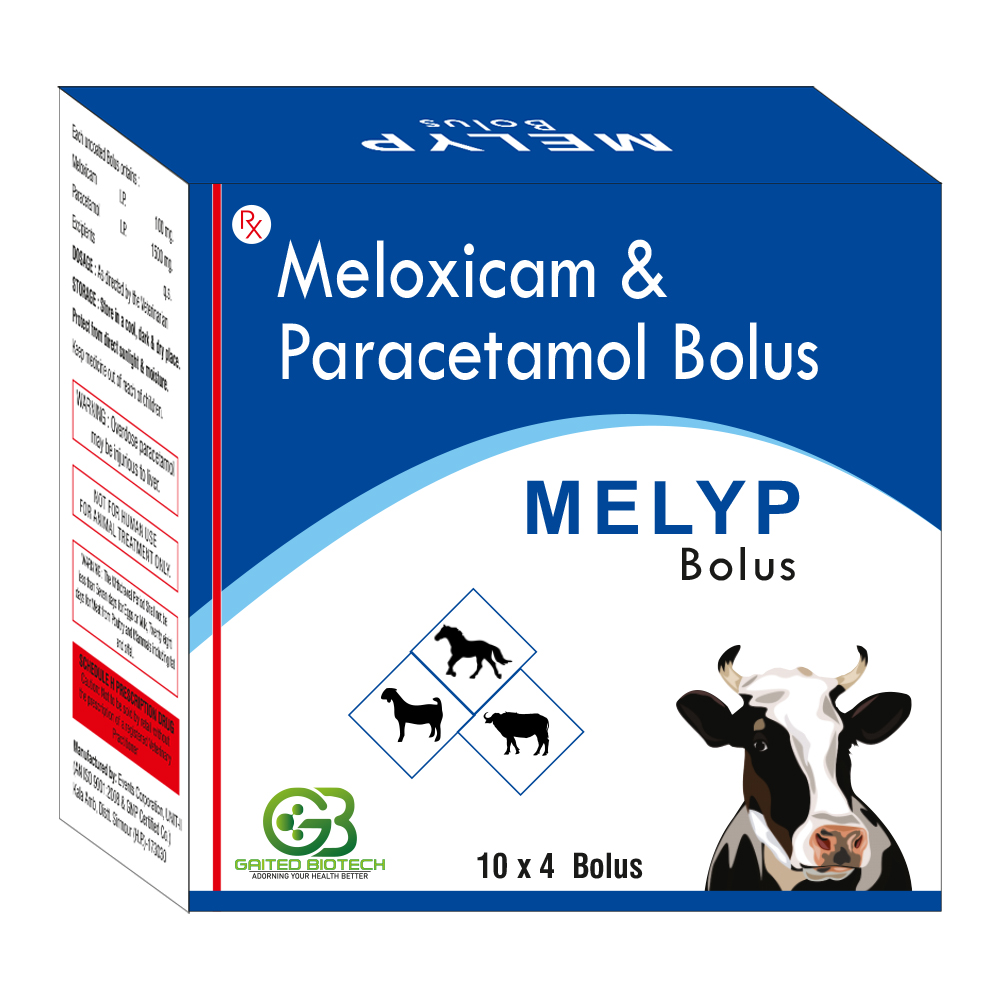 meloxicam & paracetamol bolus melyp