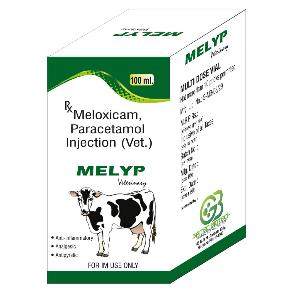 meloxicam paracetamol injection melyp